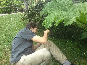 (IMG) photo1