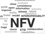ETSI NFV interoperability ETSI NFV interoperability